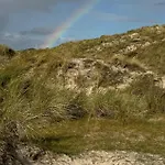 Tziki